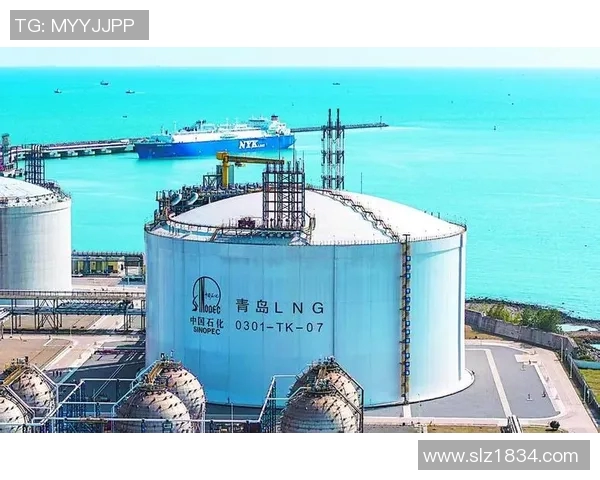 深入分析液化天然气控制策略的专业解读与应用探讨实时新闻